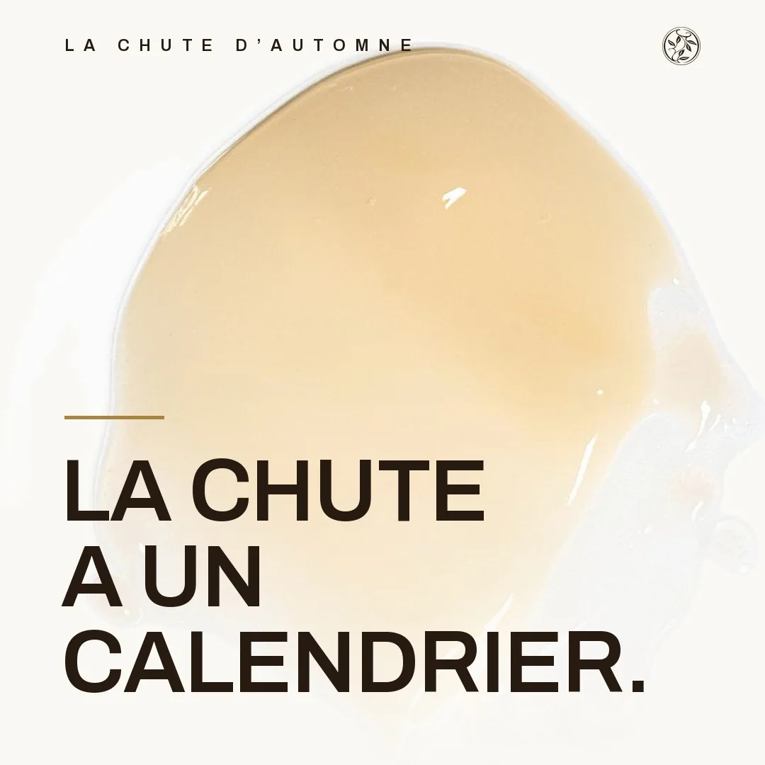 Clauderer · Identity & content 2